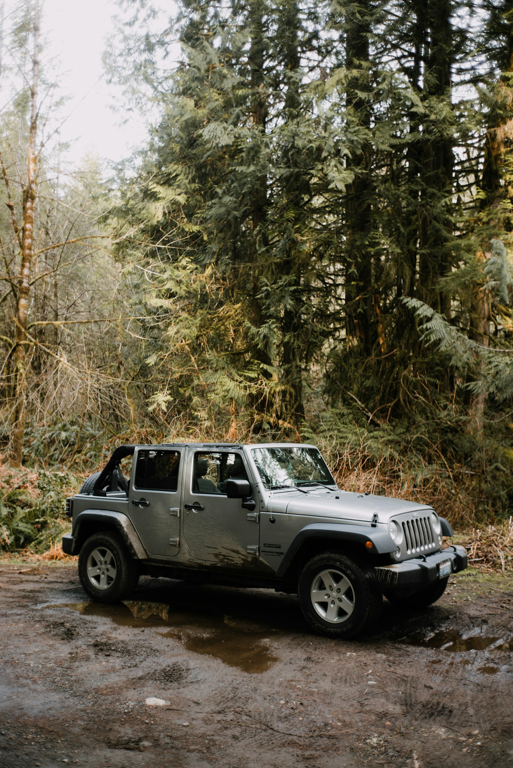 Jeep Wrangler gris rodeado de bosque, fotografía ilustrativa